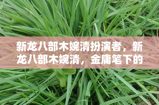 新龙八部木婉清扮演者,新龙八部木婉清,金庸笔下的传奇女子 新龙八部木婉清扮演者,新龙八部木婉清,金庸笔下的传奇女子