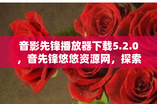 音影先锋播放器下载5.2.0,音先锋悠悠资源网,探索音乐与文化的深度交汇 音影先锋播放器下载5.2.0,音先锋悠悠资源网,探索音乐与文化的深度交汇