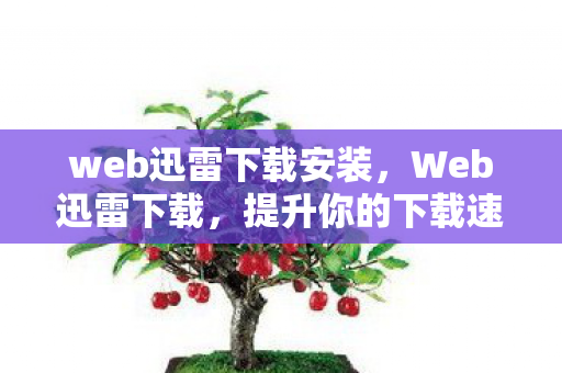 web迅雷下载安装，Web迅雷下载，提升你的下载速度与体验