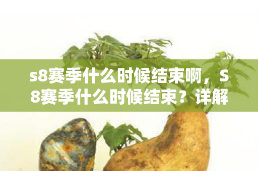 s8赛季什么时候结束啊,S8赛季什么时候结束?详解王者荣耀赛季时间 s8赛季什么时候结束啊,S8赛季什么时候结束?详解王者荣耀赛季时间