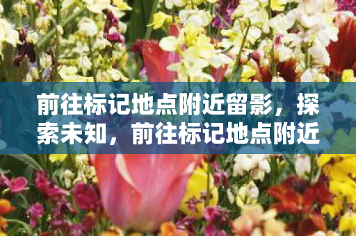 前往标记地点附近留影，探索未知，前往标记地点附近的奇妙之旅