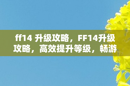 ff14 升级攻略，FF14升级攻略，高效提升等级，畅游艾欧泽亚大陆