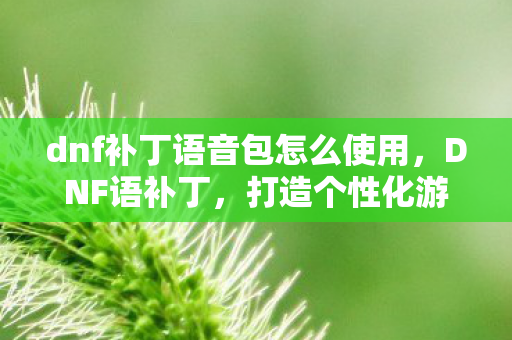 dnf补丁语音包怎么使用，DNF语补丁，打造个性化游戏体验的必备神器