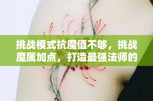 挑战模式抗魔值不够,挑战魔属加点,打造最强法师的攻略 挑战模式抗魔值不够,挑战魔属加点,打造最强法师的攻略