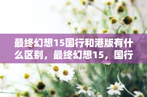 最终幻想15国行和港版有什么区别，最终幻想15，国行与港版的差异解析