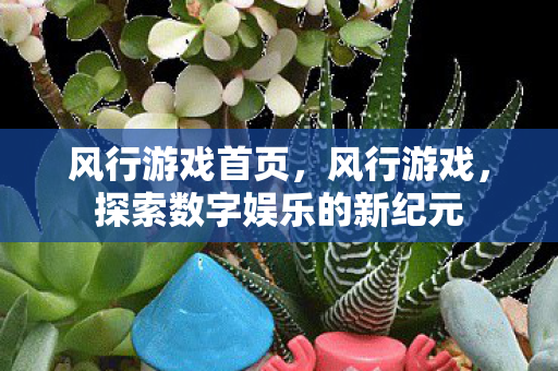 风行游戏首页，风行游戏，探索数字娱乐的新纪元