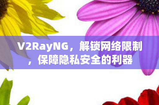 V2RayNG，解锁网络限制，保障隐私安全的利器