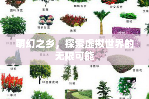 萌幻之乡，探索虚拟世界的无限可能