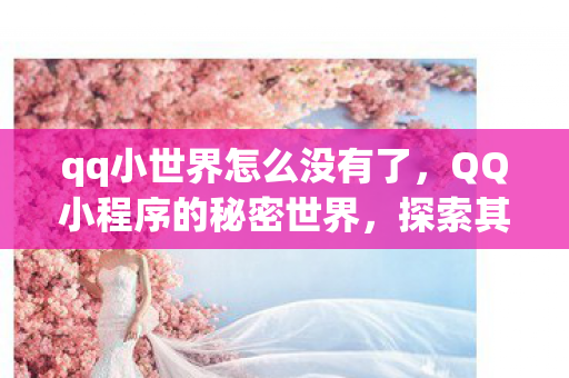 qq小世界怎么没有了，QQ小程序的秘密世界，探索其背后的功能与特点