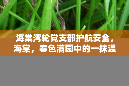 海棠湾轮党支部护航安全，海棠，春色满园中的一抹温柔
