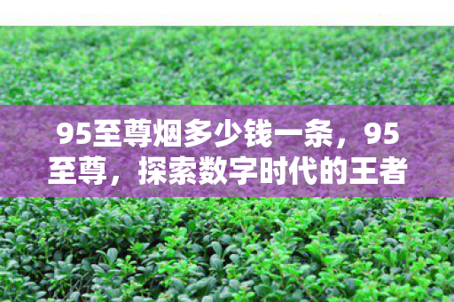 95至尊烟多少钱一条，95至尊，探索数字时代的王者之路