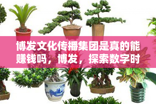 博发文化传播集团是真的能赚钱吗,博发,探索数字时代的创新之路 博发文化传播集团是真的能赚钱吗,博发,探索数字时代的创新之路