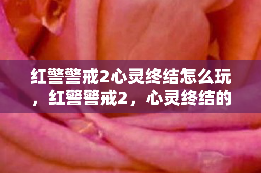 红警警戒2心灵终结怎么玩，红警警戒2，心灵终结的深层解析