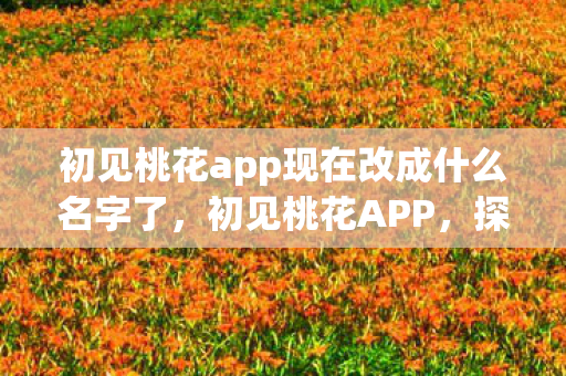 初见桃花app现在改成什么名字了，初见桃花APP，探索美好，邂逅浪漫的新世界