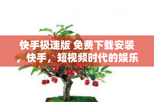 快手极速版 免费下载安装，快手，短视频时代的娱乐新宠