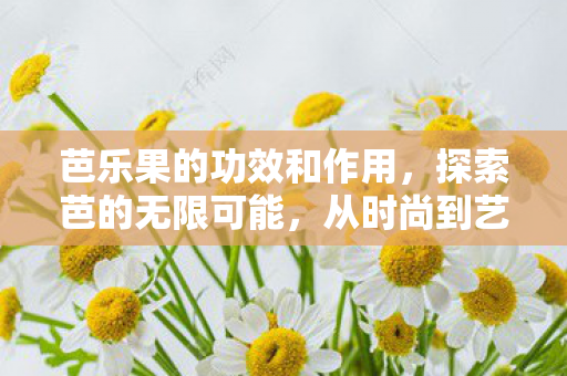 芭乐果的功效和作用，探索芭的无限可能，从时尚到艺术的跨界之旅