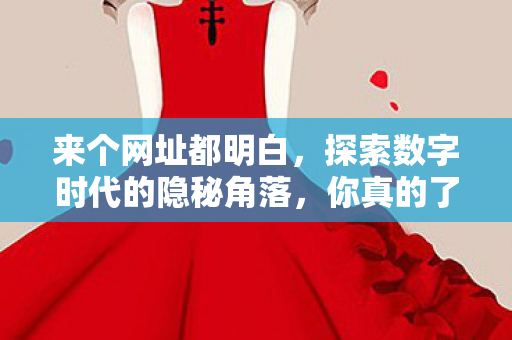 来个网址都明白，探索数字时代的隐秘角落，你真的了解你懂的网址吗？