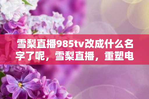 雪梨直播985tv改成什么名字了呢，雪梨直播，重塑电商直播新生态