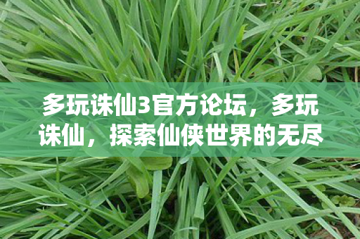 多玩诛仙3官方论坛，多玩诛仙，探索仙侠世界的无尽魅力