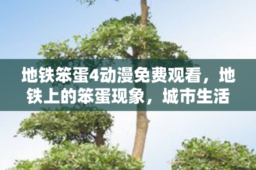 地铁笨蛋4动漫免费观看，地铁上的笨蛋现象，城市生活的小确幸