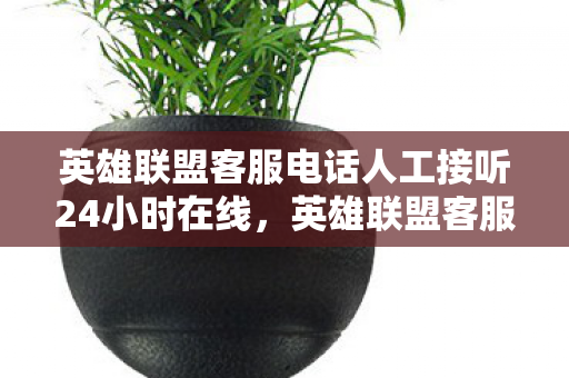 英雄联盟客服电话人工接听24小时在线，英雄联盟客服电话，快速解决你的游戏问题