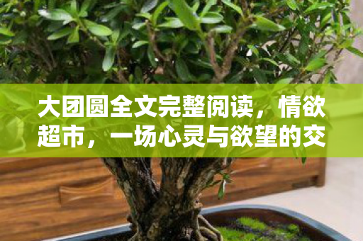 大团圆全文完整阅读，情欲超市，一场心灵与欲望的交织之旅