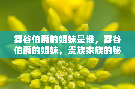 雾谷伯爵的姐妹是谁，雾谷伯爵的姐妹，贵族家族的秘密与传奇