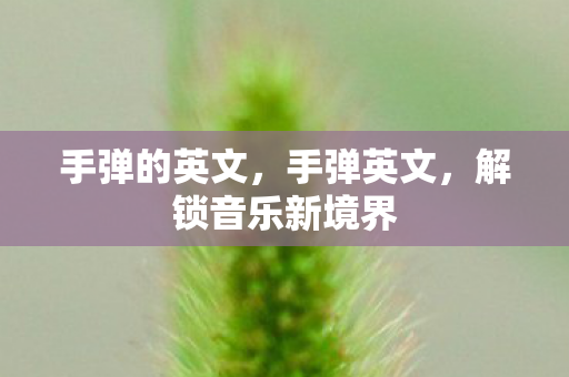 手弹的英文，手弹英文，解锁音乐新境界