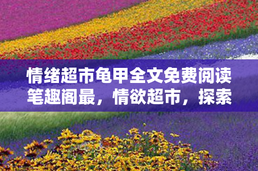 情绪超市龟甲全文免费阅读笔趣阁最，情欲超市，探索内心深处的欲望与需求