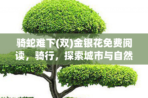 骑蛇难下(双)金银花免费阅读，骑行，探索城市与自然的绿色之旅