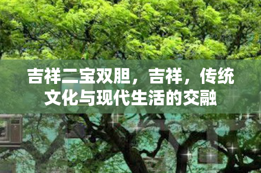 吉祥二宝双胆，吉祥，传统文化与现代生活的交融
