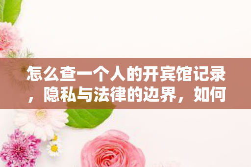 怎么查一个人的开宾馆记录，隐私与法律的边界，如何合法查询开房记录？