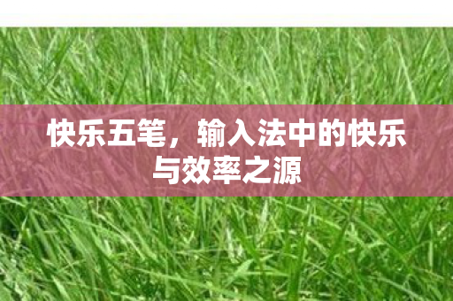 快乐五笔，输入法中的快乐与效率之源