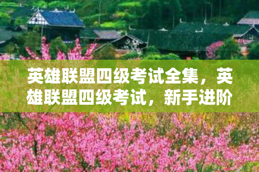 英雄联盟四级考试全集，英雄联盟四级考试，新手进阶之路