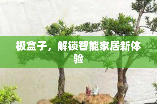 极盒子,解锁智能家居新体验 极盒子,解锁智能家居新体验