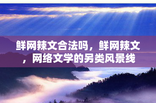 鲜网辣文合法吗，鲜网辣文，网络文学的另类风景线