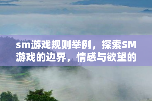 sm游戏规则举例,探索SM游戏的边界,情感与欲望的灰色地带 sm游戏规则举例,探索SM游戏的边界,情感与欲望的灰色地带