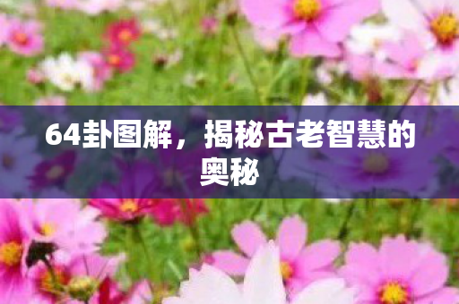 64卦图解,揭秘古老智慧的奥秘 64卦图解,揭秘古老智慧的奥秘
