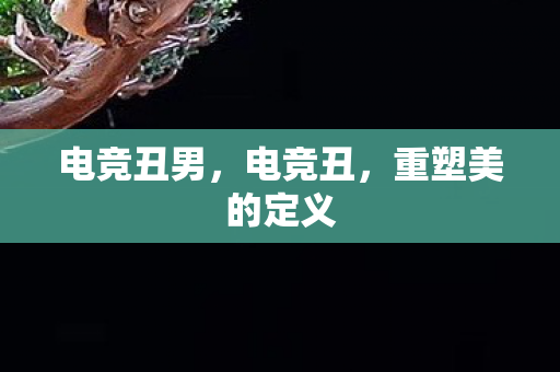 电竞丑男,电竞丑,重塑美的定义 电竞丑男,电竞丑,重塑美的定义