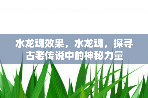 水龙魂效果，水龙魂，探寻古老传说中的神秘力量