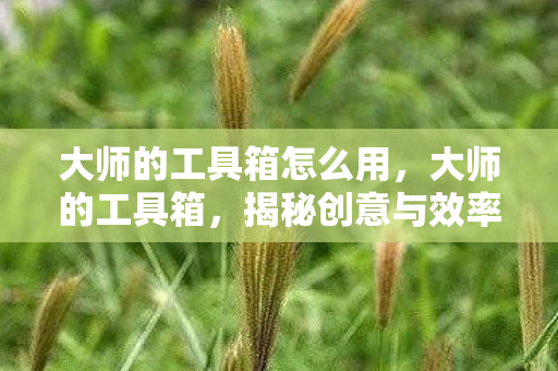大师的工具箱怎么用,大师的工具箱,揭秘创意与效率的源泉 大师的工具箱怎么用,大师的工具箱,揭秘创意与效率的源泉