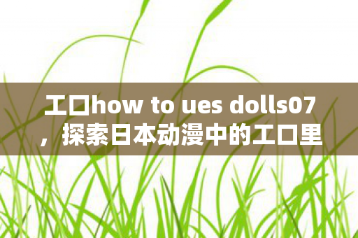 工口how to ues dolls07，探索日本动漫中的工口里番现象，文化、争议与影响