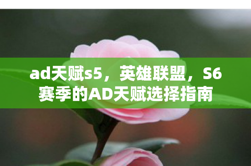 ad天赋s5，英雄联盟，S6赛季的AD天赋选择指南