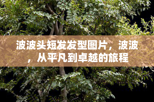 波波头短发发型图片，波波，从平凡到卓越的旅程