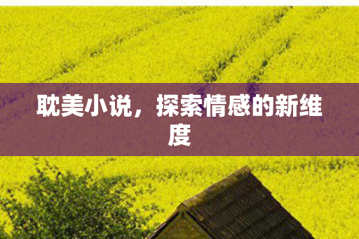 耽美小说，探索情感的新维度
