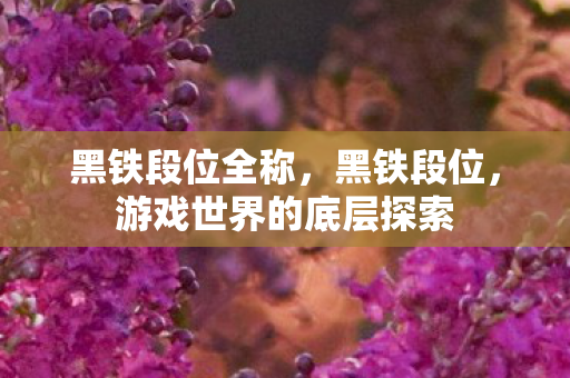 黑铁段位全称，黑铁段位，游戏世界的底层探索