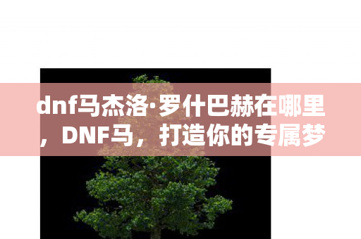 dnf马杰洛·罗什巴赫在哪里，DNF马，打造你的专属梦幻坐骑