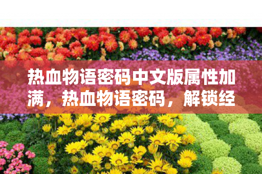 热血物语密码中文版属性加满，热血物语密码，解锁经典游戏的神秘钥匙