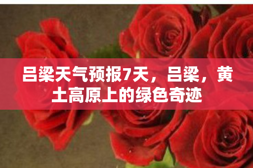 吕梁天气预报7天，吕梁，黄土高原上的绿色奇迹