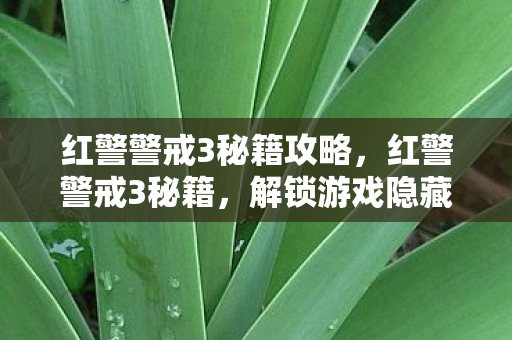 红警警戒3秘籍攻略，红警警戒3秘籍，解锁游戏隐藏功能，提升战斗效率